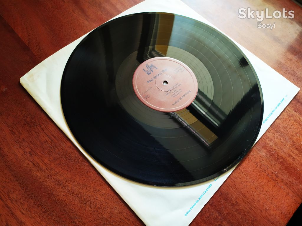 Paul Simon  Plus   Англия - фото фото фото 1