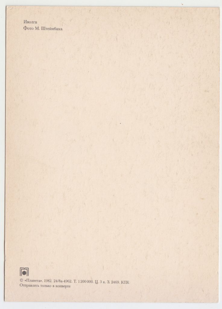 Птицы Птахи 1982 Штейнбах P11B - фото фото фото 1