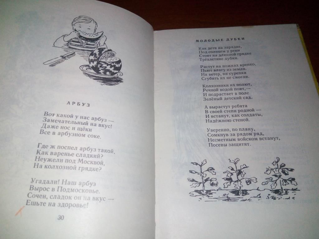 Зинаида Александрова ДЕНЬ НАЧИНАЕТСЯ С ЧУДЕС  (Стихи) - фото фото фото 3