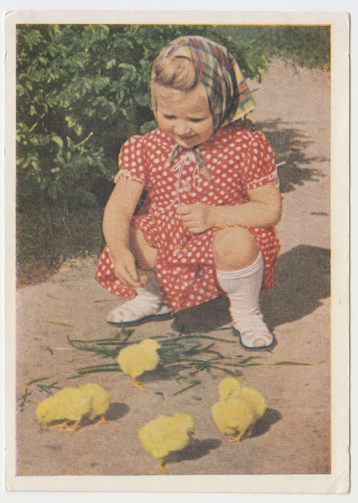 Маленькая хозяйка 1960 Игнатович P10 - фото фото фото 0