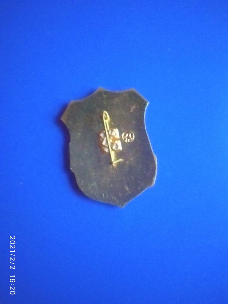 значок дружинник - фото фото фото 1