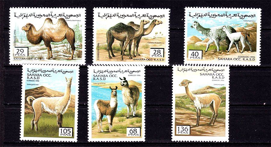 Фауна . Сахара 1996 г MNH - - фото фото фото 0