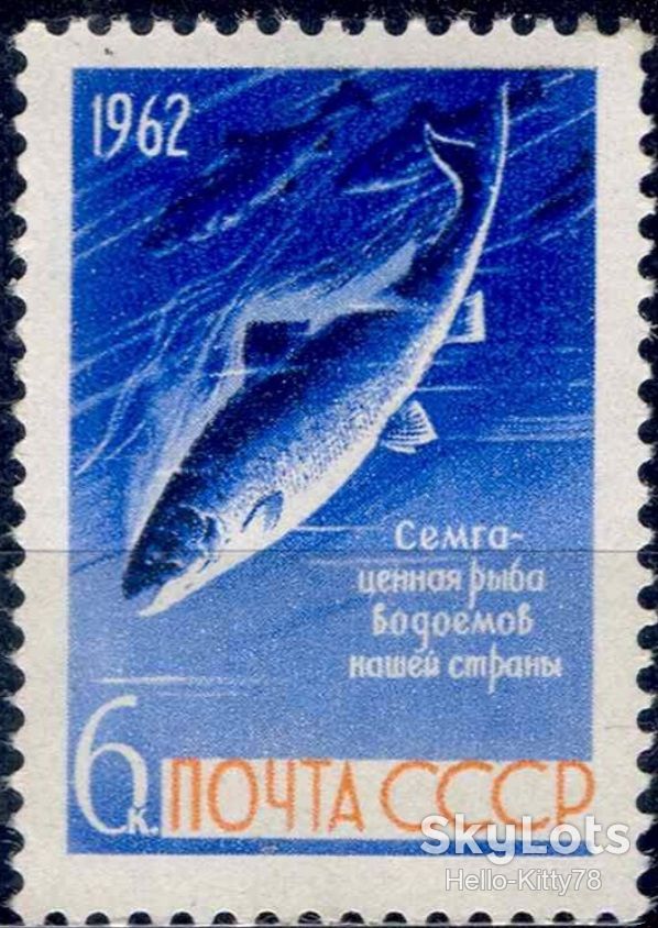 СССР 1962 фауна рыбы СК 2646 MNH - фото фото фото 0