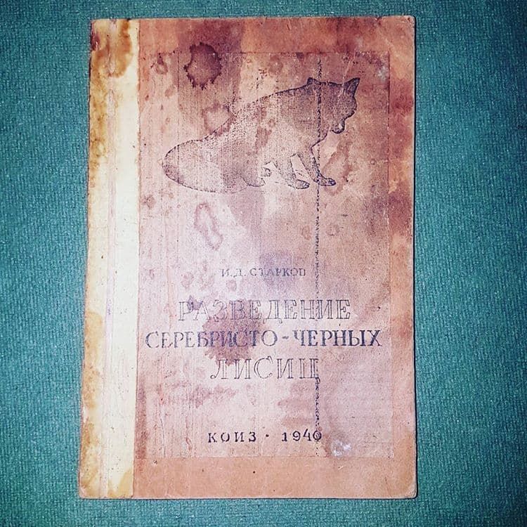 Разведение серебристо-черных лисиц	Старков	1940 - фото фото фото 0