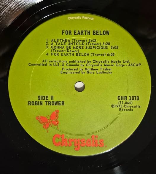 Robin Trower 75 "For Earth Below" USA orig. Vinyl MINT - фото фото фото 3