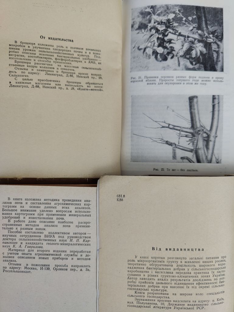 книги: БАКТЕРІАЛЬНІ ДОБРИВА 1962. БАКТЕРИАЛЬНЫЕ УДОБРЕНИЯ. II-е изд. 1959 - фото фото фото 5