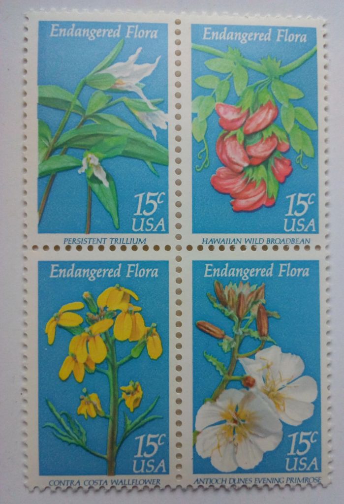 США 1979 Цветы, квартблок, MNH - фото фото фото 0