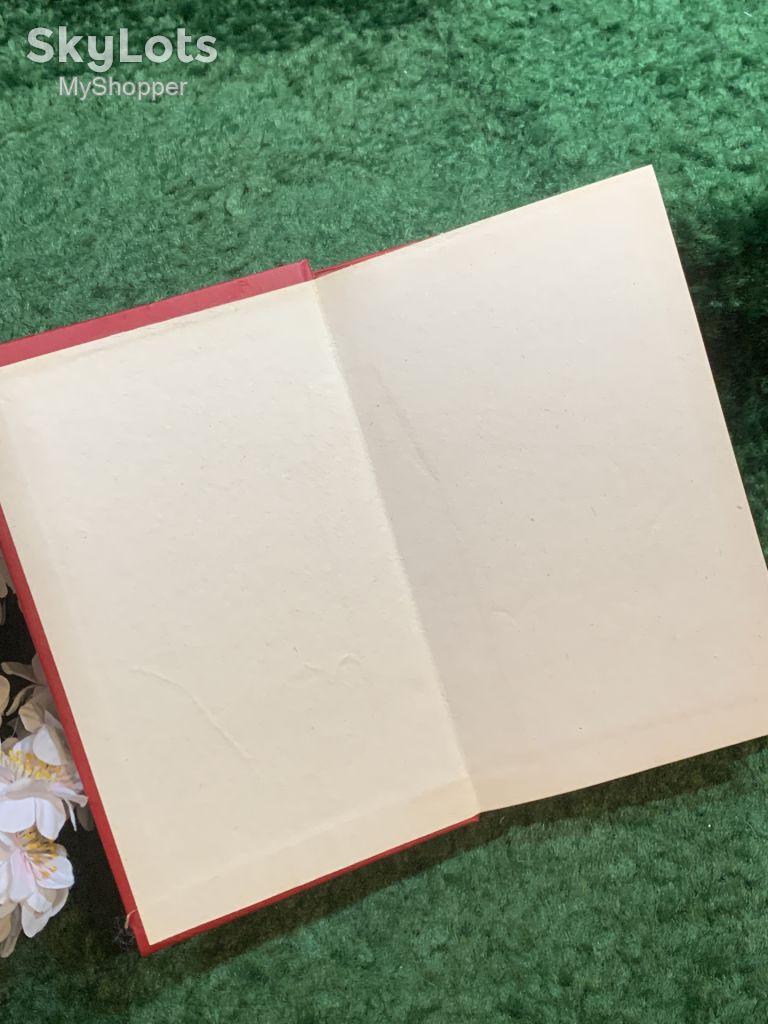 Книга историко-приключенческий роман «Пираты Мексиканского залива» Висенте Рива Паласио 1993 г.  (Н8253) - фото фото фото 1