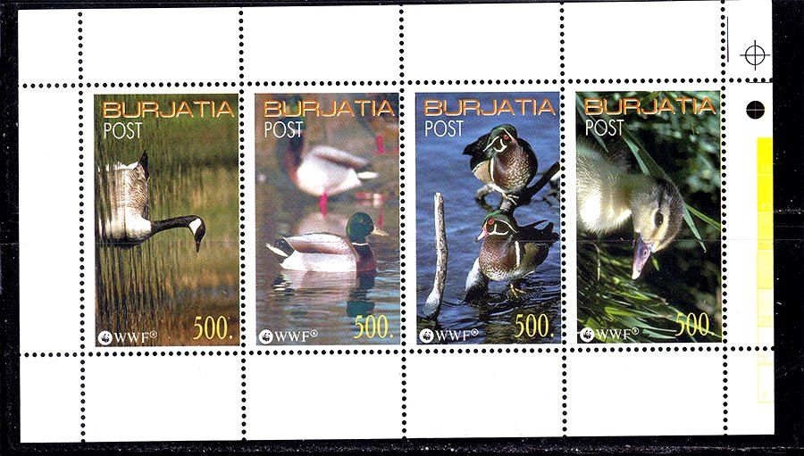 Фауна . Бурятия 1991 г  MNH   - утки - синдерелла - фото фото фото 0