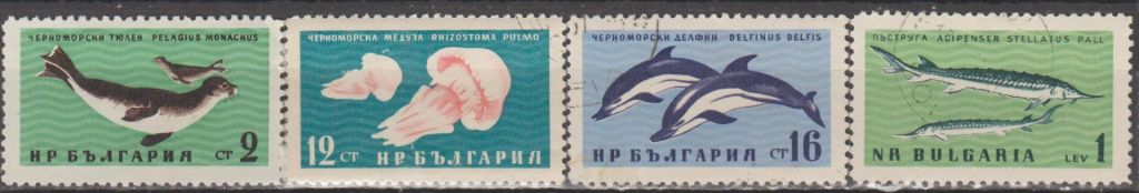 Болгария Болгарія 1961 фауна моря - фото фото фото 0