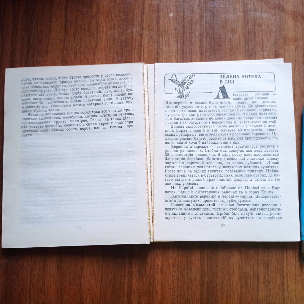 А.І. Кондратюк Лісова скринька - фото фото фото 5