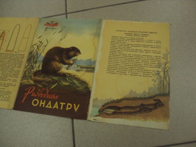 книга альбом разводите ондатру розанов трофимов №13354м - фото фото фото 4