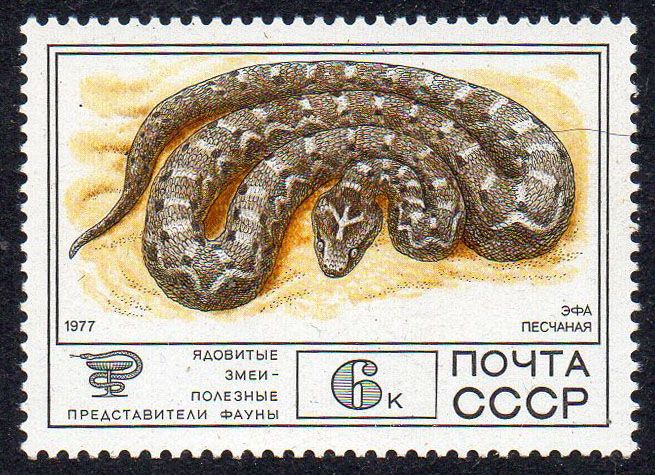 СРСР 1977 - Фауна СРСР ** - фото фото фото 0