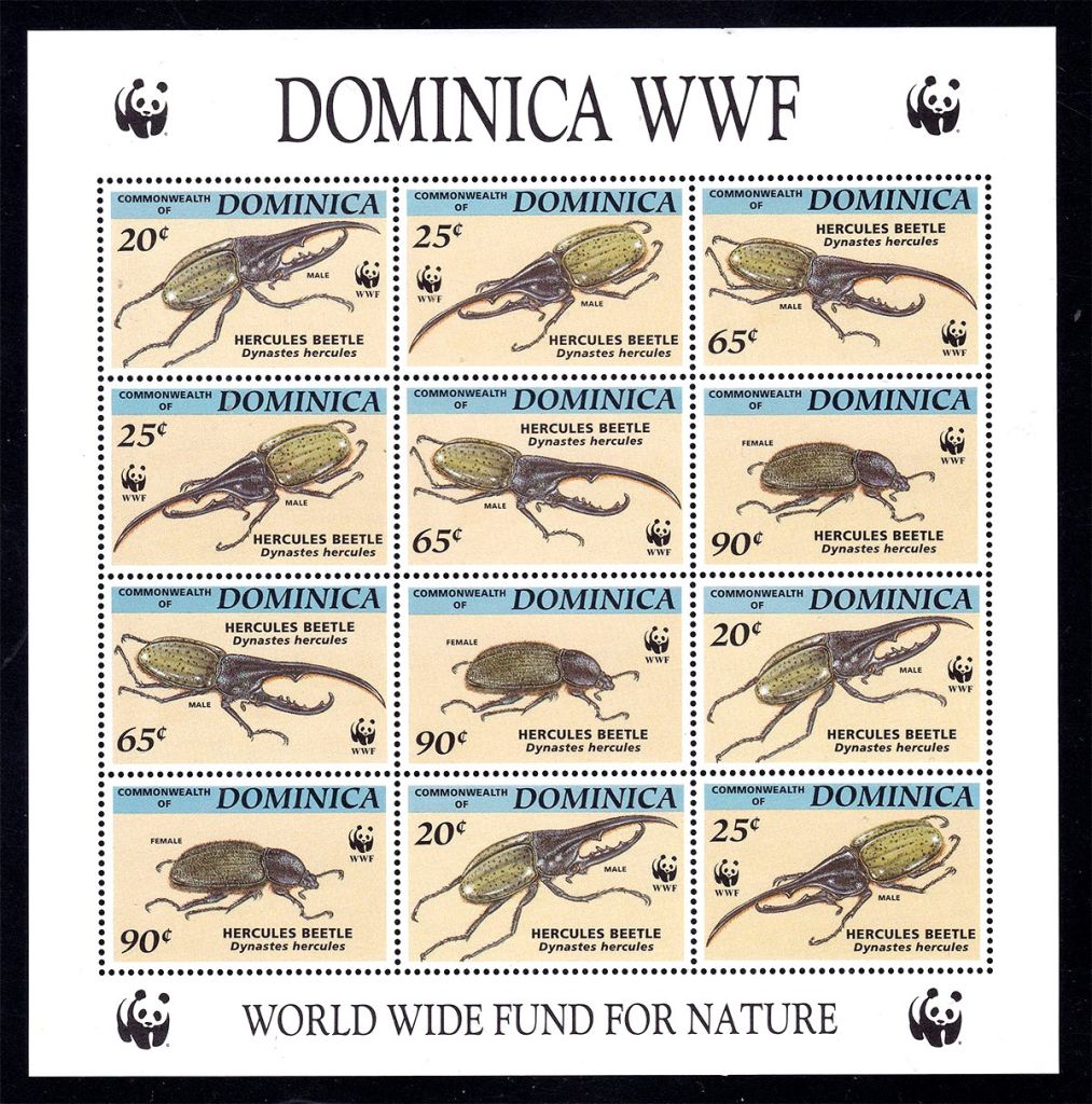 Фауна . Доминика 1994 г MNH - - WWF - фото фото фото 0