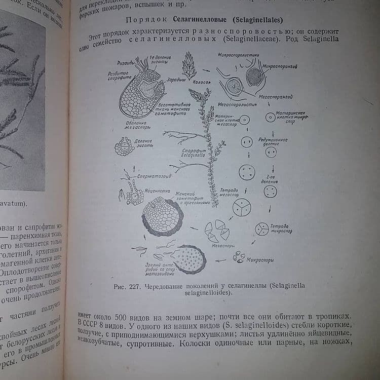 Ботаника	Жуковский 	1949 - фото фото фото 4