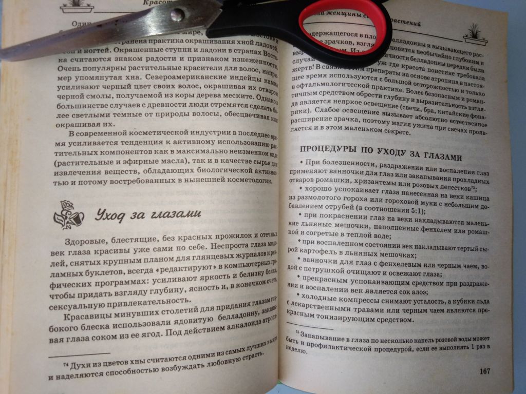 Комнатные растения Волкова Т.Н. - фото фото фото 5