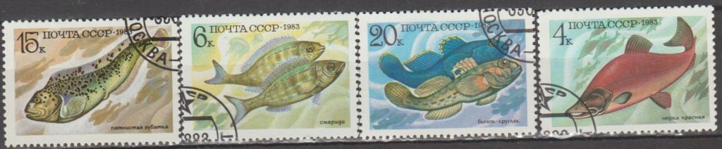 СССР 1983 фауна рыбы - фото фото фото 0
