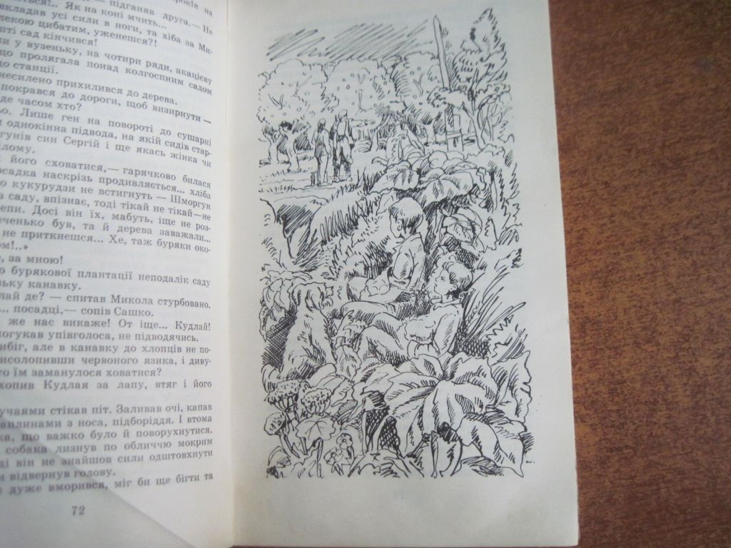 Борис Комар. Мандрівний вулкан. Диваки. Веселка 1980 - фото фото фото 3