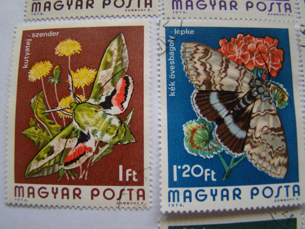 Венгрия, Михель 2009  (Центр.Европа),2994А-3000А, Бабочки. - фото фото фото 3