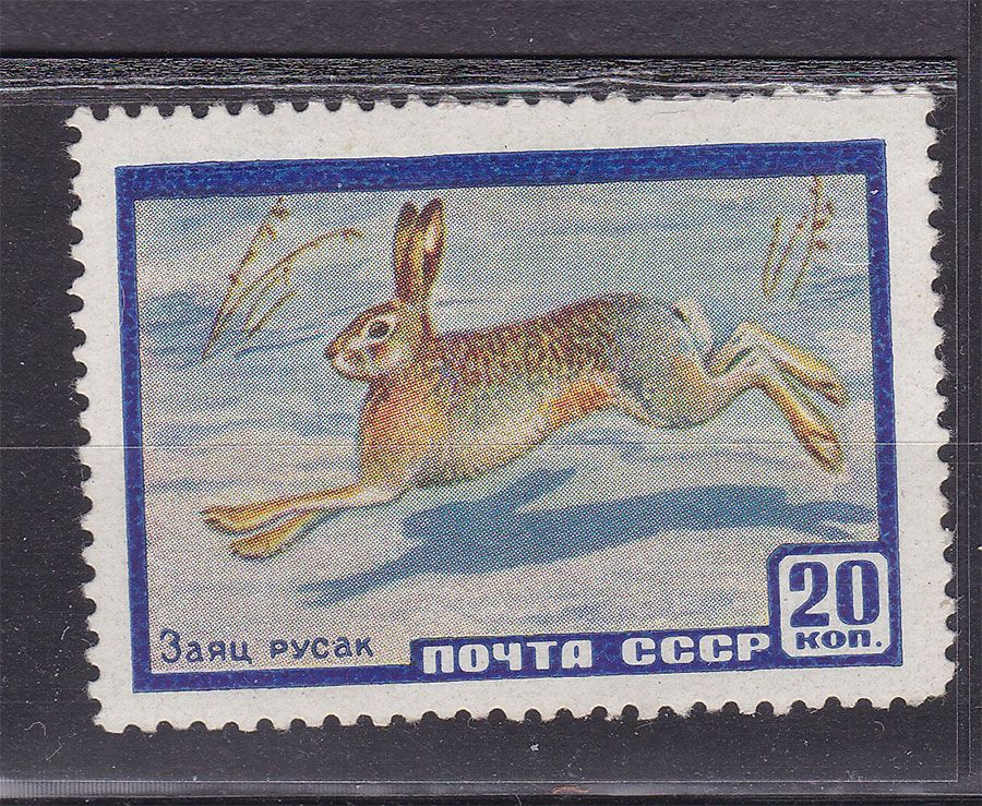 ZM  СССР 1960 г MNH - заяк - фото фото фото 0