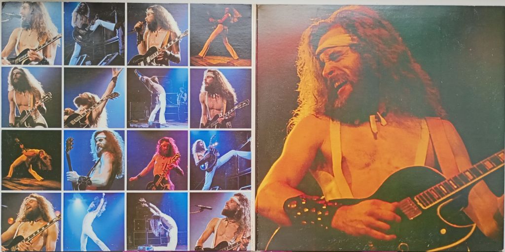TED NUGENT Double Live Gonzo! 2LP  Disc:1-VG+/2-EX;  Cover:EX- - фото фото фото 1