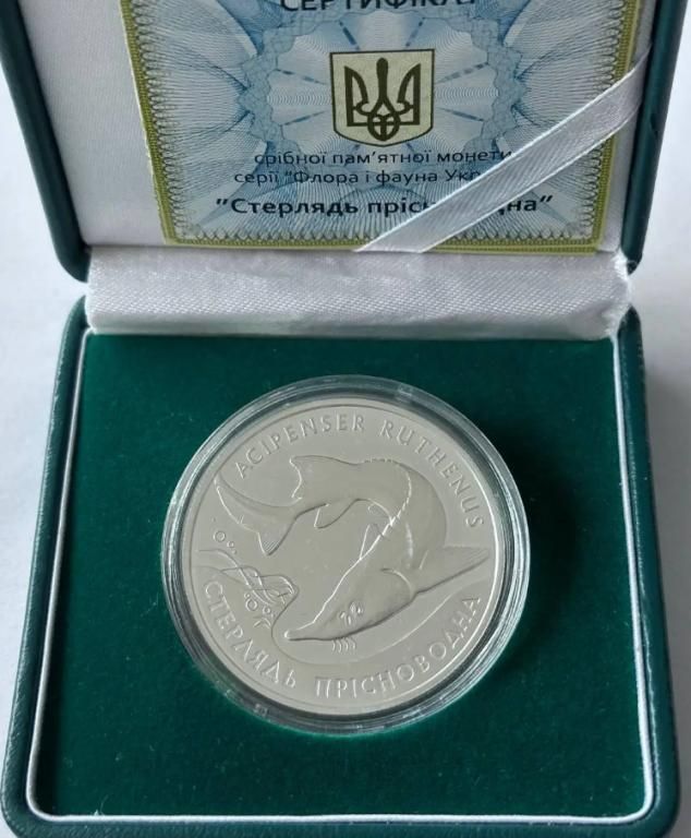 Срібна монета НБУ Стерлядь прісноводна 10 гривень 2012 року у банківському стані! - фото фото фото 0