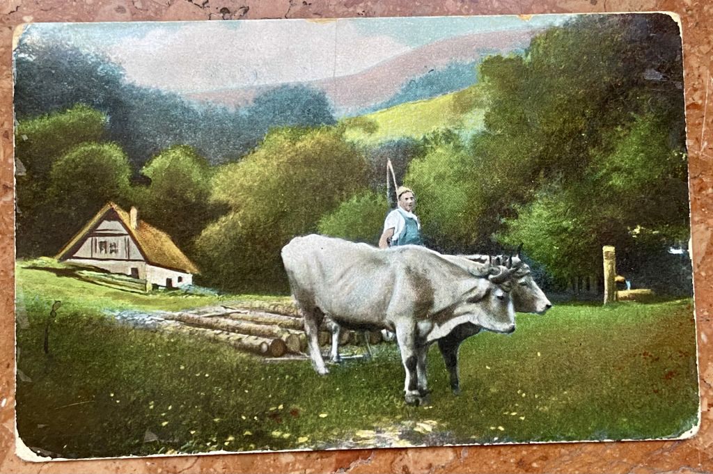 Стара листівка 1910 р. - фото фото фото 0