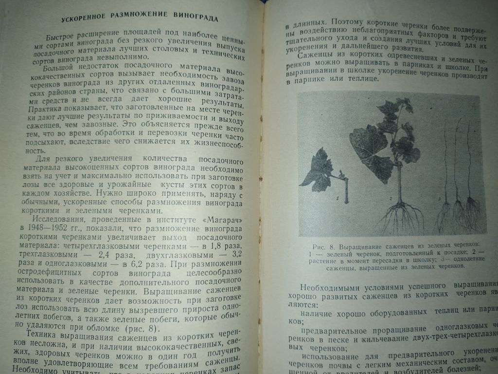 книга: СТЕПНОЕ ВИНОГРАДАРСТВО 1960г. - фото фото фото 10