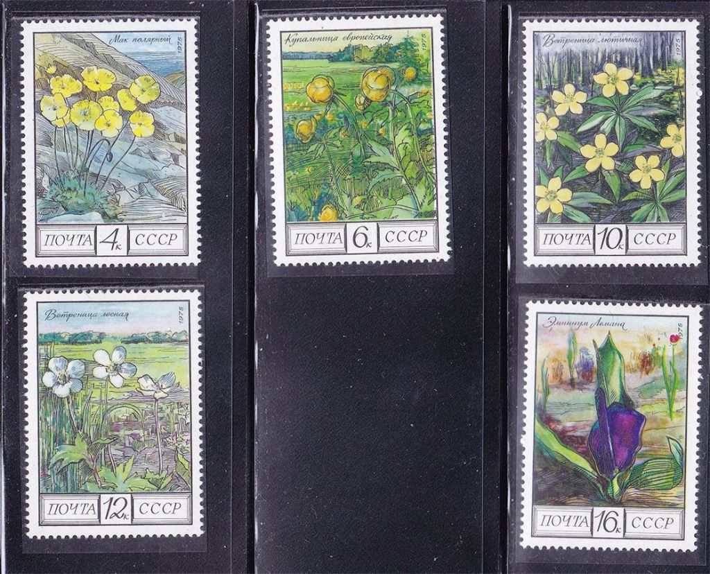 СССР  1975 г   MNH - флора - фото фото фото 0