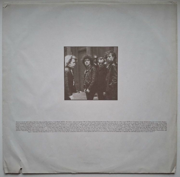 The Del Fuegos - Stand Up - 1987.  (LP). 12. Vinyl. Пластинка. USA. - фото фото фото 3