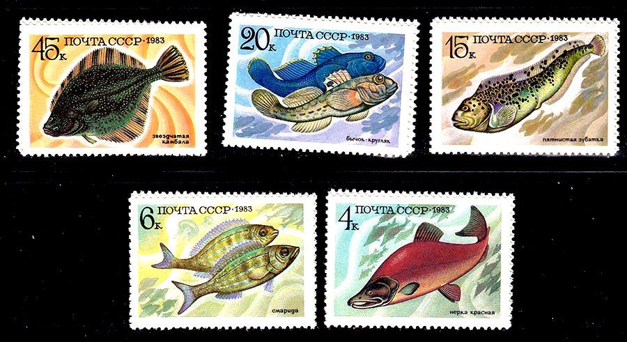 СССР 1983 г   MNH - рыбы - фото фото фото 0