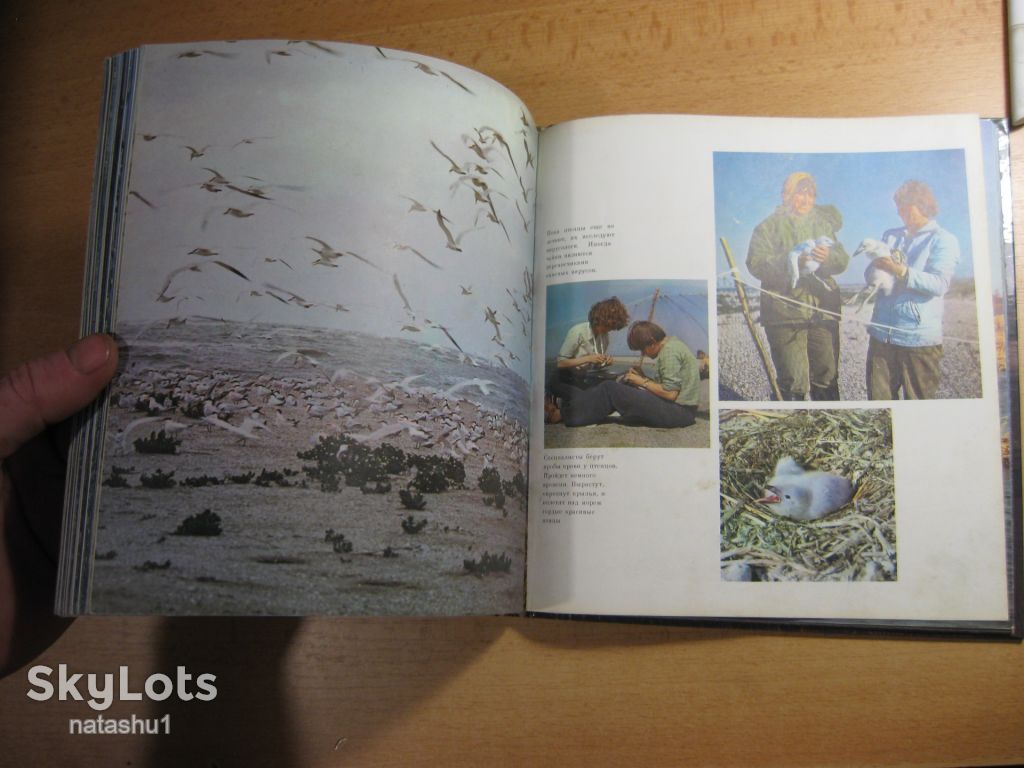 астраханский заповедник 1982г - фото фото фото 9