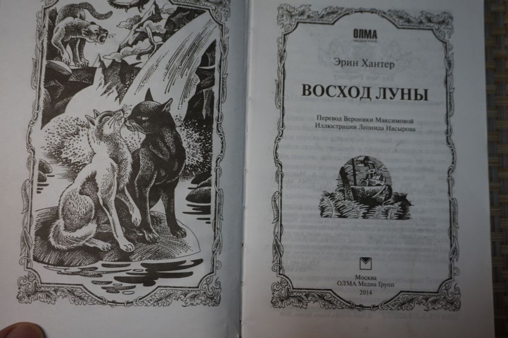 Хантер Эрин. Восход луны. Сборник. Серия: Коты-воители - фото фото фото 1