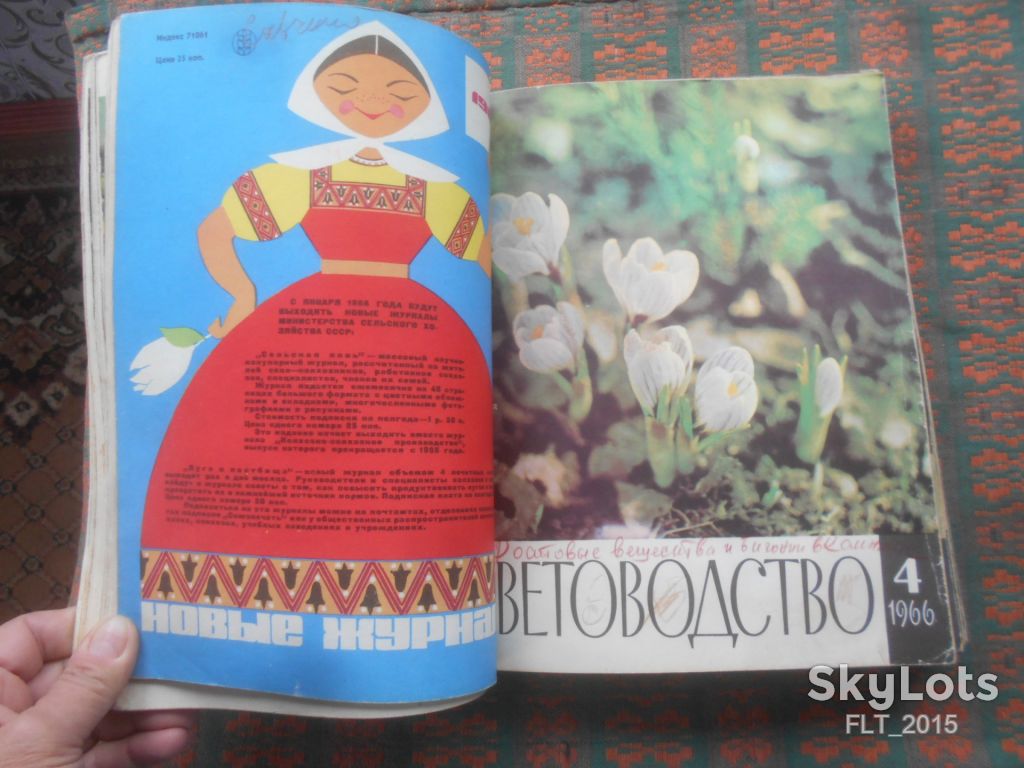 Цветоводство  1966 г.  Годовая - фото фото фото 4