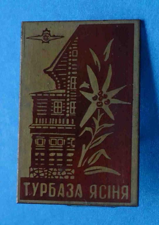 Турбаза Ясиня эдельвейс - фото фото фото 0