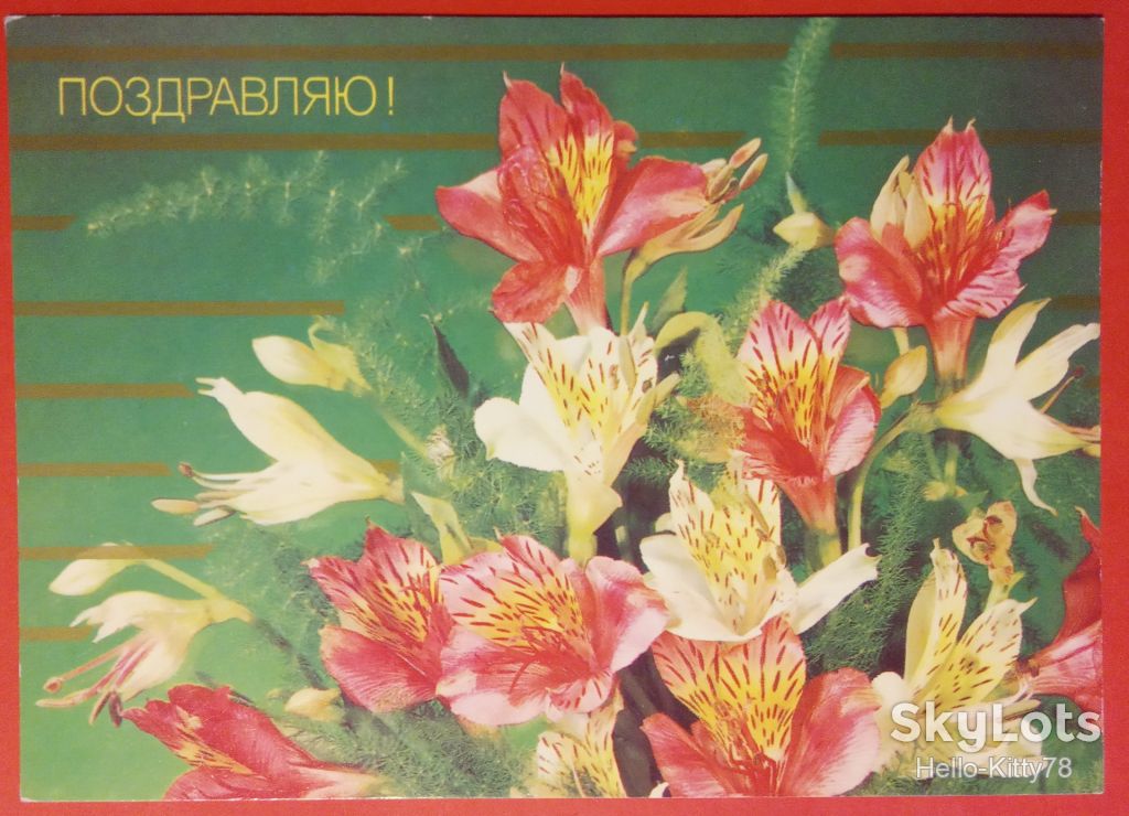 СССР 1987 цветы флора ХМПК 02 - фото фото фото 0