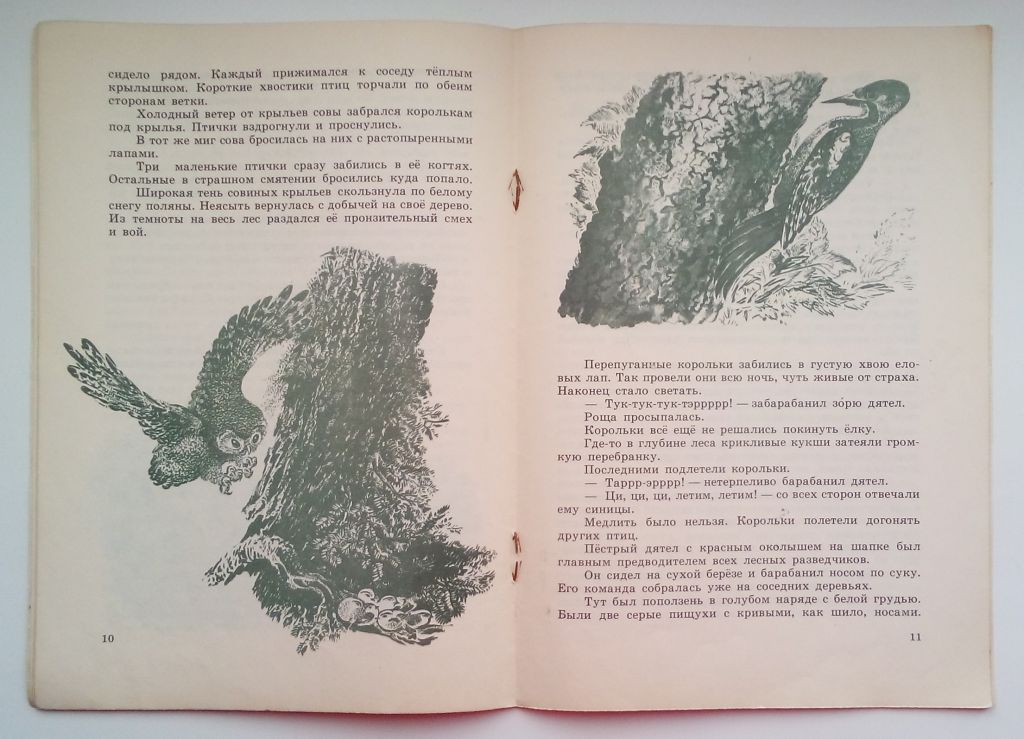В. Бианки  Лесные разведчики,  1977  Рис. Чарушина - фото фото фото 2