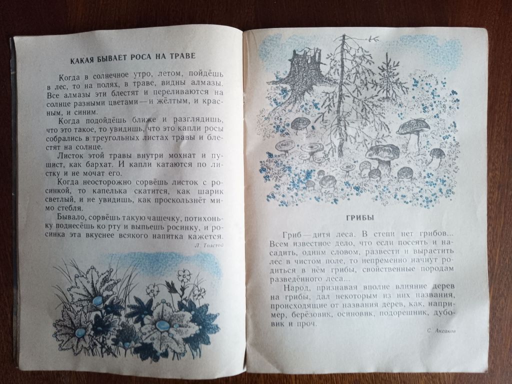 Лесные хоромы 1990 Дитяча книжка - фото фото фото 3