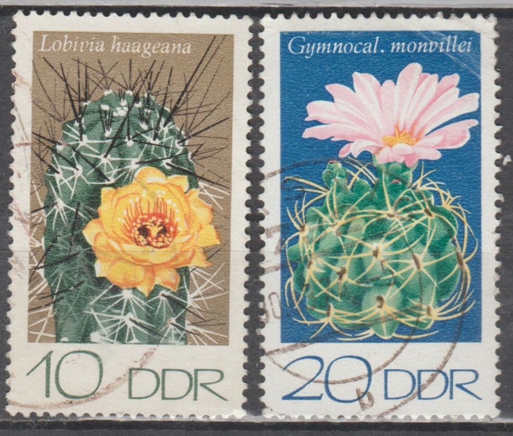 Германия Німеччина ГДР 1974 флора кактуси - фото фото фото 0