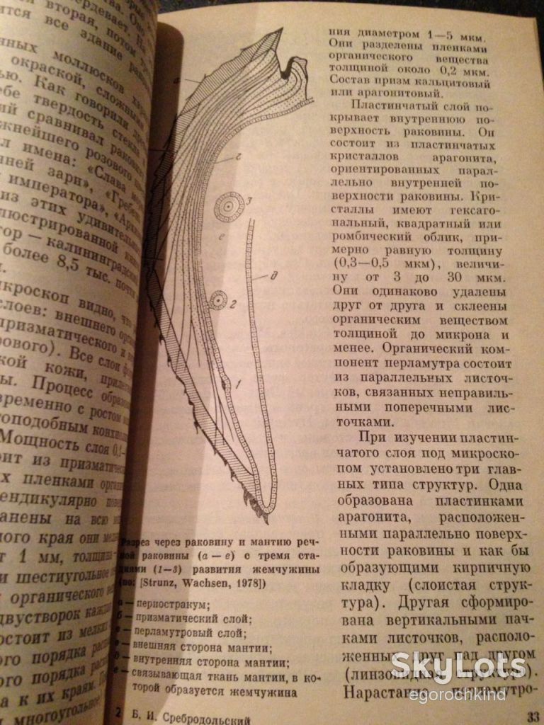 книга:  ЖЕМЧУГ  1985г. - фото фото фото 9