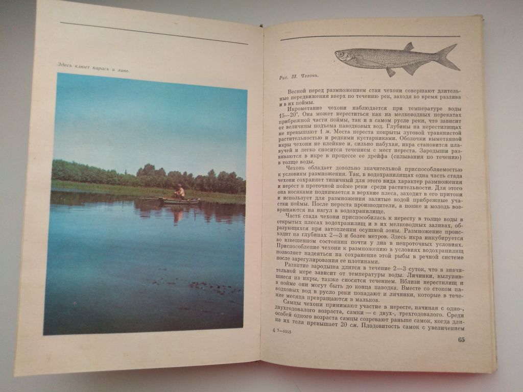 Б.Куркин Любительское рыболовство Рыбалка - фото фото фото 4