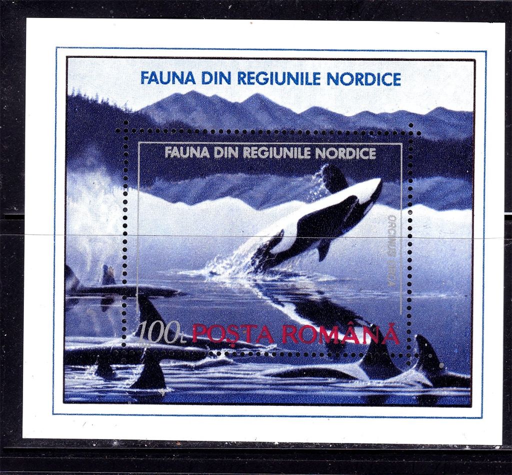 Фауна .  Румыния  1992 г  MNH  - блок - косатки - фото фото фото 0