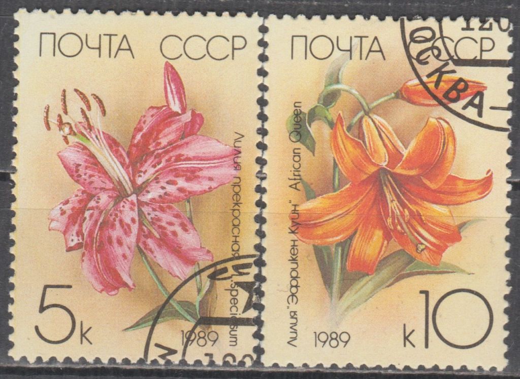 СССР 1989 флора цветы - фото фото фото 0