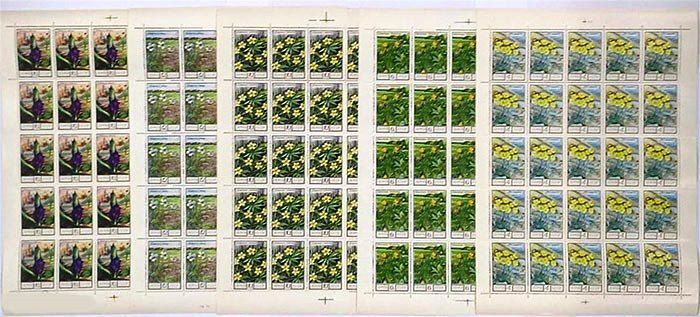 СССР  1975 г  MNH - листы - флора - фото фото фото 0