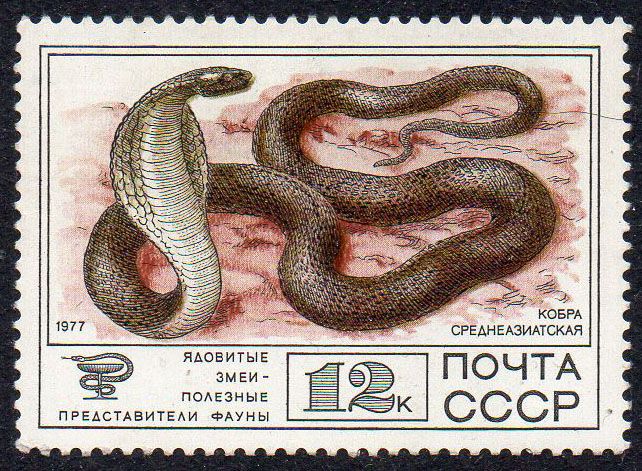 СРСР 1977 - Фауна СРСР ** - фото фото фото 0