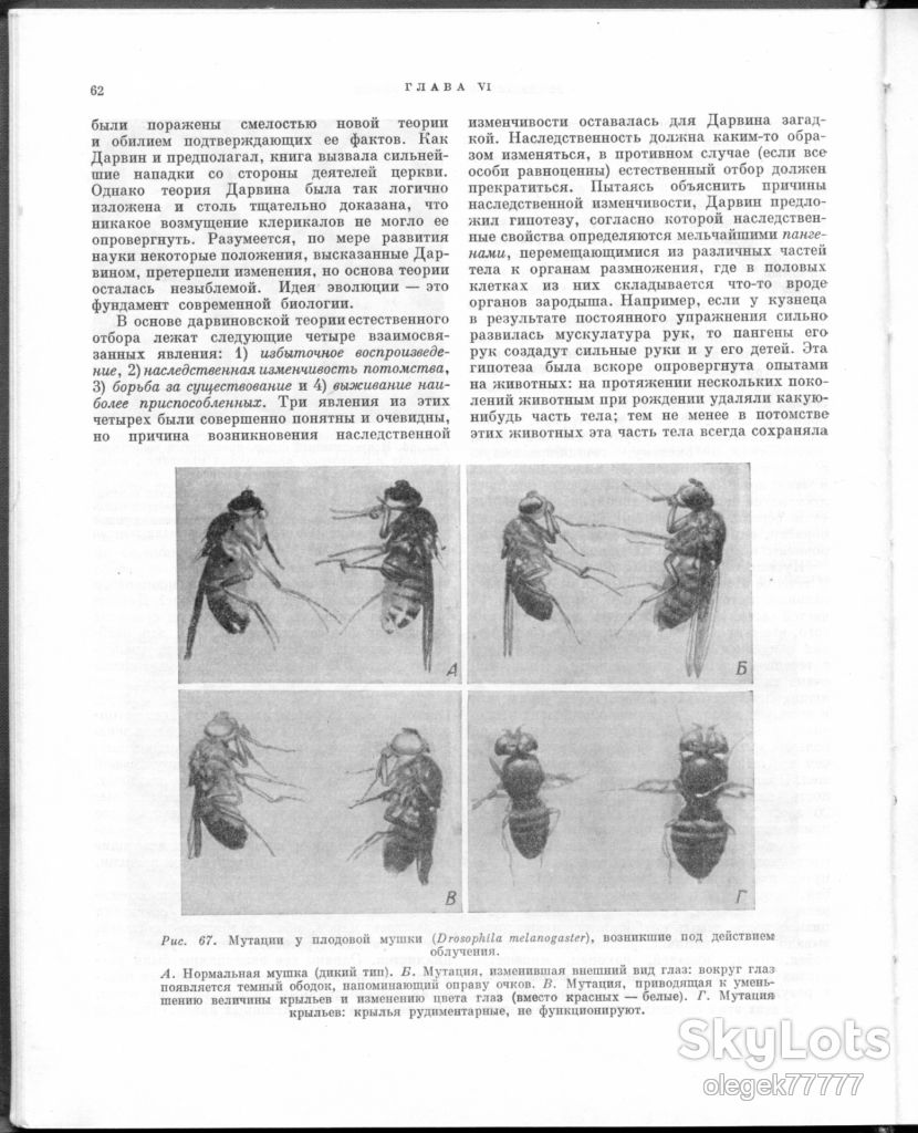 Винчестер А. Основы современной биологии - фото фото фото 2