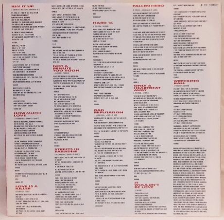 Vixen - Rev It Up - 1990.  (LP). 12. Vinyl. Пластинка. ЕЕС. - фото фото фото 3