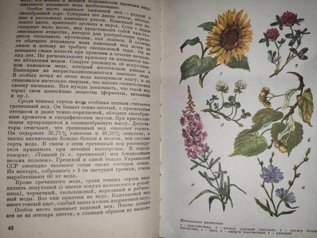 книга: ПЧЕЛЫ - КРЫЛАТЫЕ ФАРМАЦЕВТЫ, II-е изд., 1966г. - фото фото фото 6