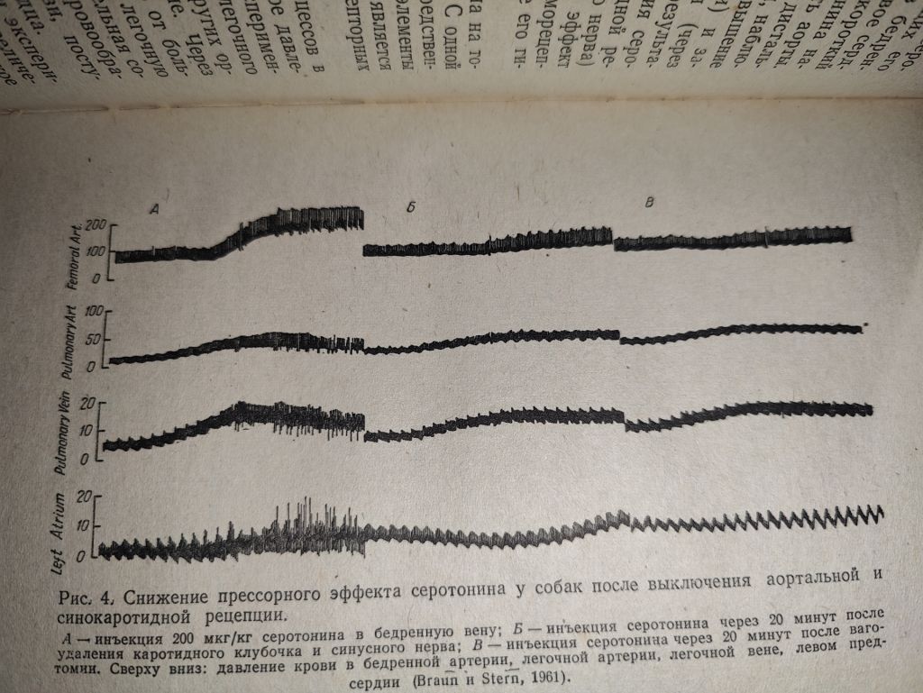 книга: СЕРОТОНИН И ЕГО РОЛЬ В ОРГАНИЗМЕ 1966г.; - фото фото фото 5