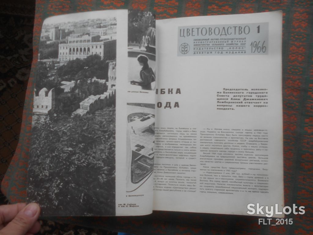 Цветоводство  1966 г.  Годовая - фото фото фото 13